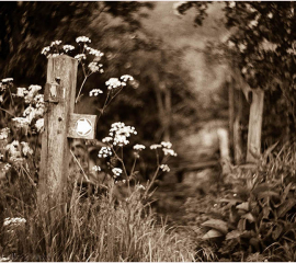 Stonegrave Pond No 30 2016, Archival pigment print